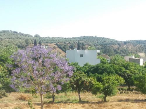 Vrondos Apartments