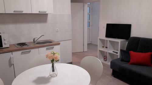 Apartment Sano