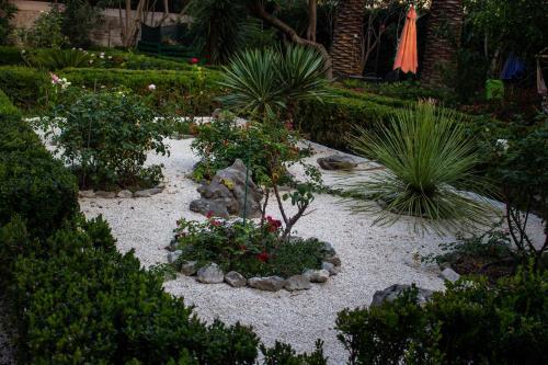 Villa Cindro House