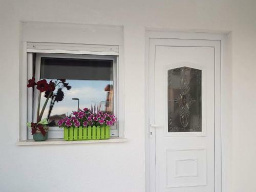 Apartman Bee
