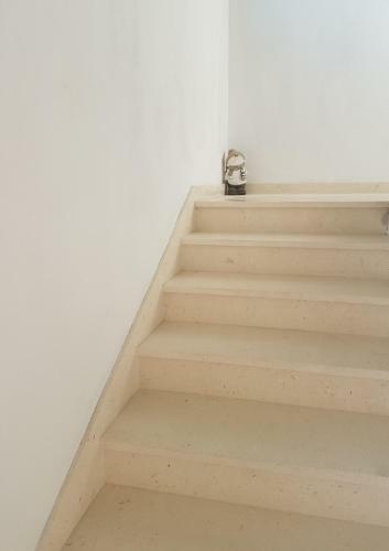 Apartman Bee