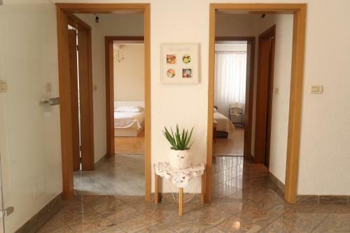 Apartment Casa