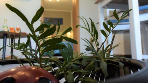 Apartamento Ferienwohnung Admiral