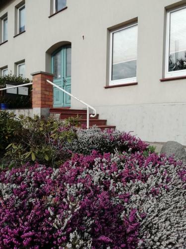 Apartamento Ferienwohnung Admiral