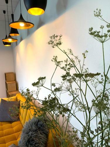 �kohotel Alea Eco