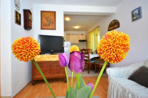 Apartman Bozikovic