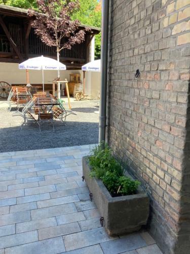 Hotel B�rgerhausl�wen