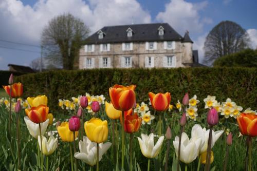 Bed & Breakfast Chateau De Savennes - Caveau De Sabrage