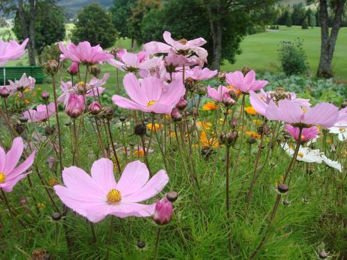Bed & Breakfast Golf Du Rochat
