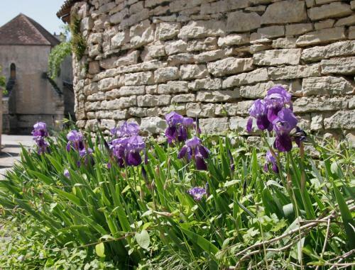 Hostal C�t�-serein - Les Chambres Du Clos-malo