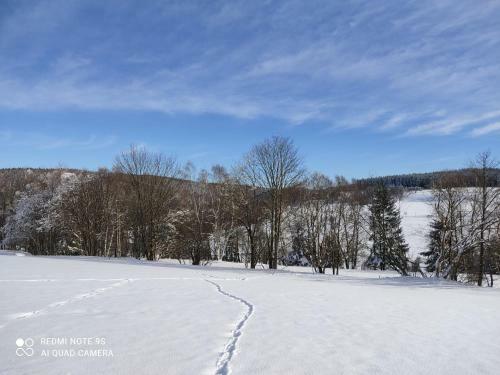 Apartamento G�stehaus Piesau