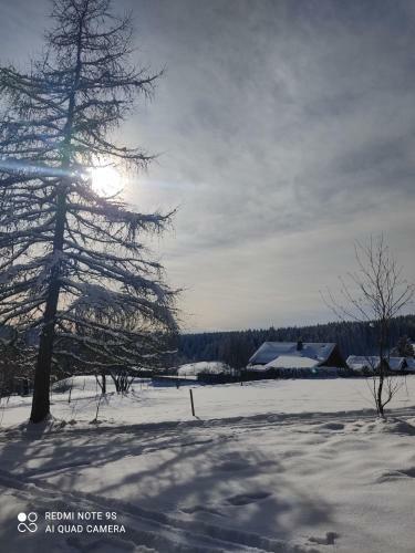 Apartamento G�stehaus Piesau