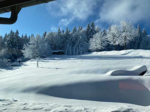 Apartamentos Woidrausch�n