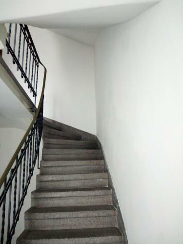 Apartamento Safari