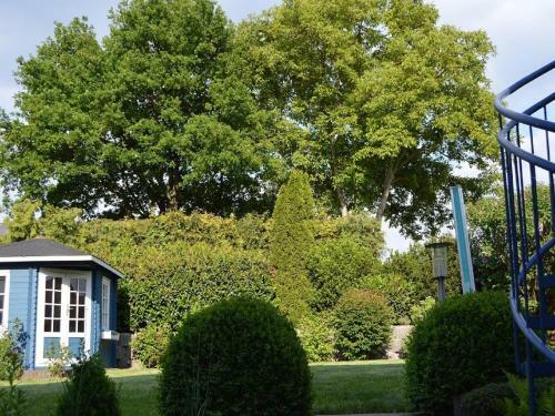 Apartamento Ferienwohnung Am Park - Vulkanferien