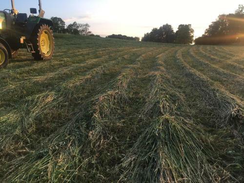 Agroturismo Nussbaumhof Mit Koppel