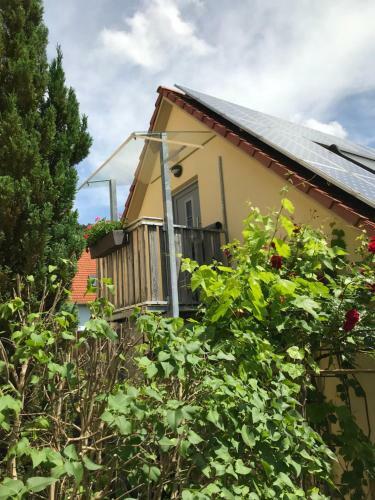 Apartamento Naturapur