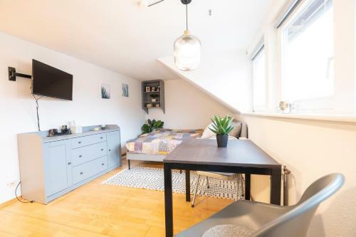 Apartamento Pirna-schlossblick