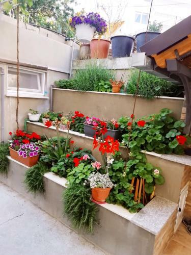 Apartamento Rosa