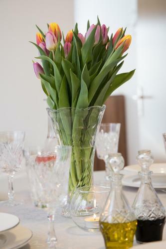 Apartamento Rosa