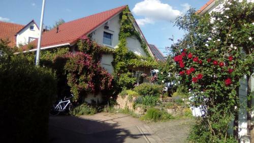Doppelzimmer, Pl�derhausen
