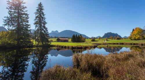 Apartamentos Alpenstern Ferienwohnung