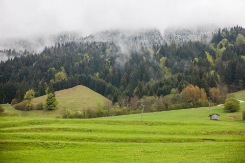 Apartamento Chalet-pfronten