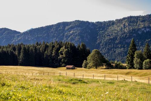 Apartamento Ferienwohnung Heuser