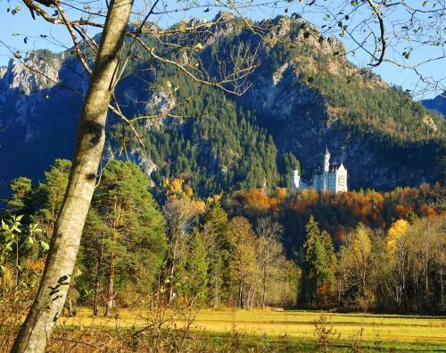 Apartamento Bergfrieden