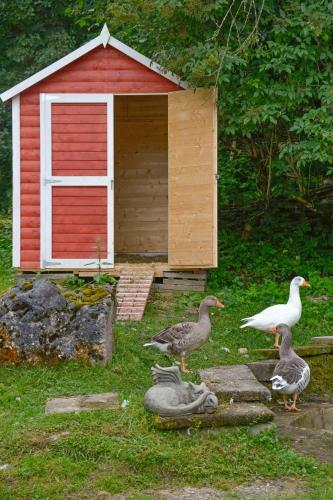 Apartamento Dreim�derlhaus Am Berg