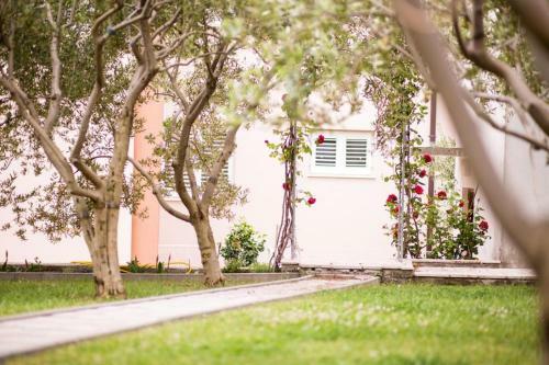 Apartmani Sara