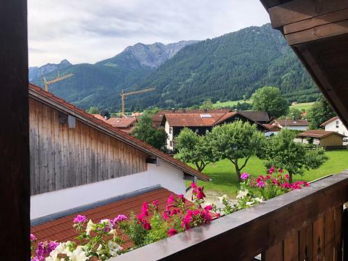Apartamento Landhaus ?divija Haus? Ferienwohnung