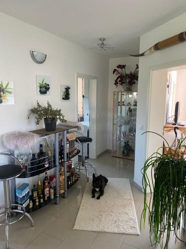 Apartamento Luxus Fewo - Spannagl