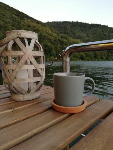 Hausboot Auf Der Mosel