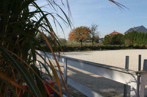 Agroturismo Gut Fischer