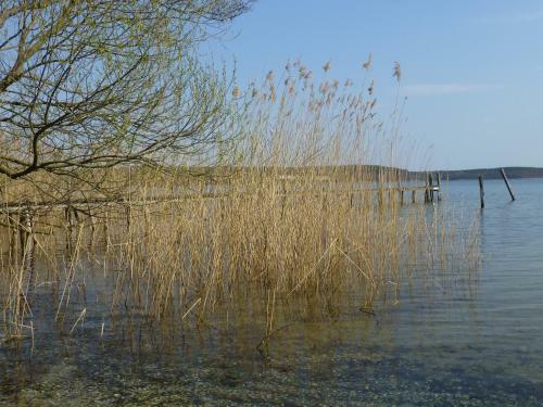 Altes Fischerhaus