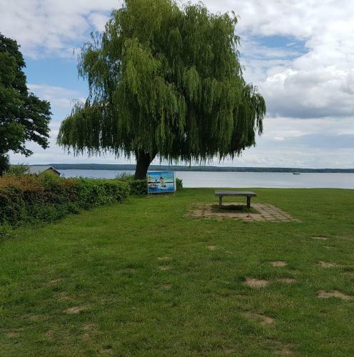Ferienhaus Plau Am See In Wassern�he