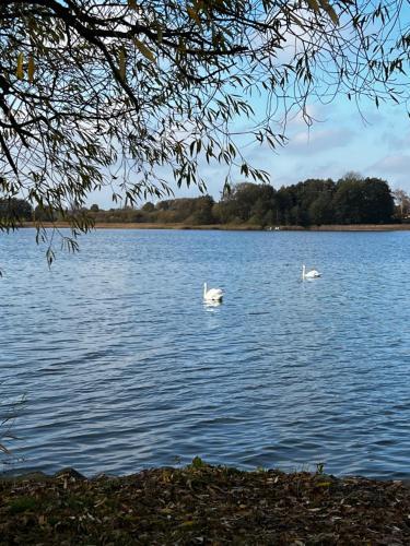 Apartamento Sweet App Am See
