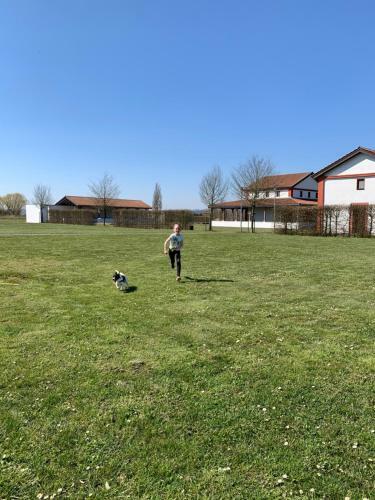 Apartamento Ferienwohnung Pomaria