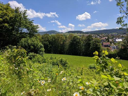 Apartamento Rh�n Lodge