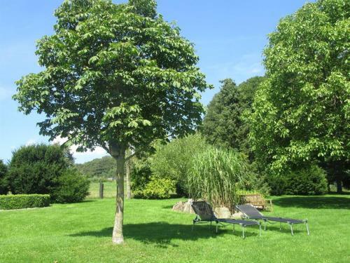 Apartamento Ferienwohnung �ttersbach