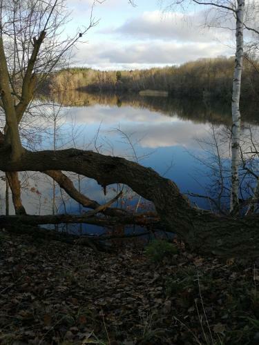 Apartamento Reiterhof Gro� Stubben