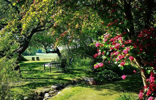 Apartamento Hof Garz