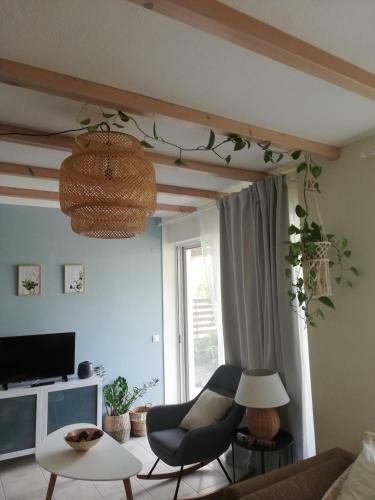 Aura Garden Apartment