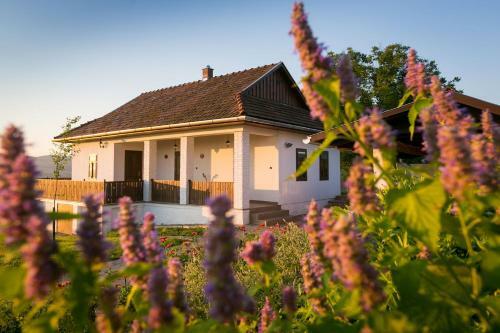 Apartamento Csenger Vend�gh�zak