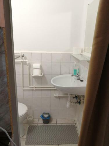 Pipacs Vend�gh�z