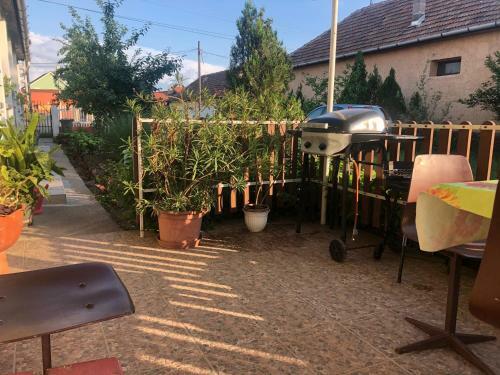 Viola Vend�gh�z Mez?k�vesd