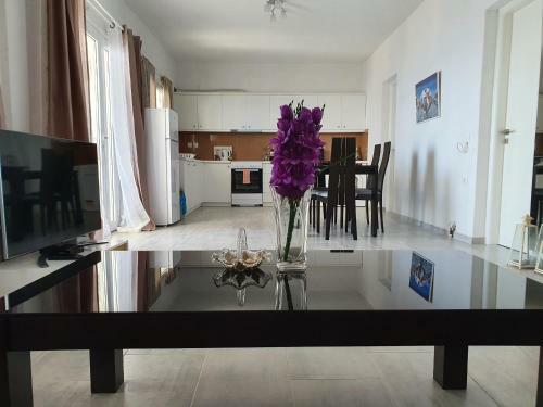 Santorini Lovers Villa