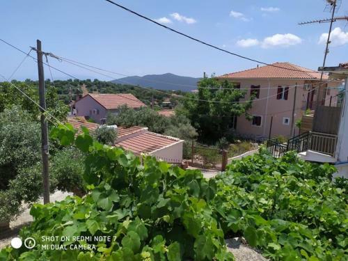 Maritsa Country Home
