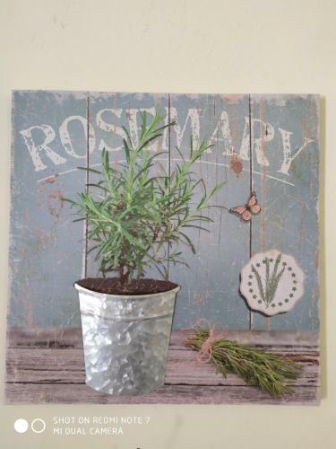 Maritsa Country Home